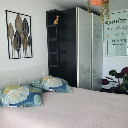 טולוז Appartement Cosy Entierement Equipe מראה חיצוני תמונה