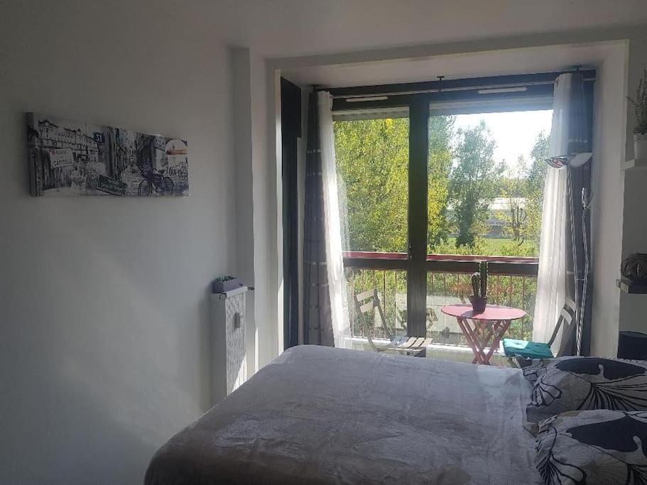 טולוז Appartement Cosy Entierement Equipe מראה חיצוני תמונה