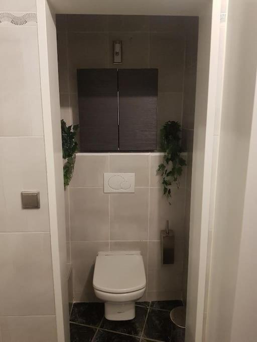 טולוז Appartement Cosy Entierement Equipe מראה חיצוני תמונה